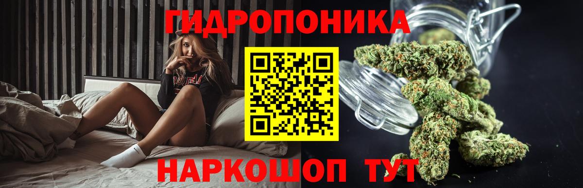 Бошки марихуана гибрид  Конопля THC 21%  Донецк  Каннабис Bruce Banner  Бошки марихуана сатива  Вход с VPN 